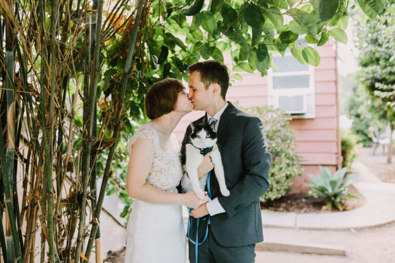 Covid Wedding Elopement with a Cat