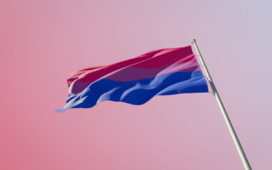 Transgender Pride Flag - Hand Sewn – Pride Flag SD
